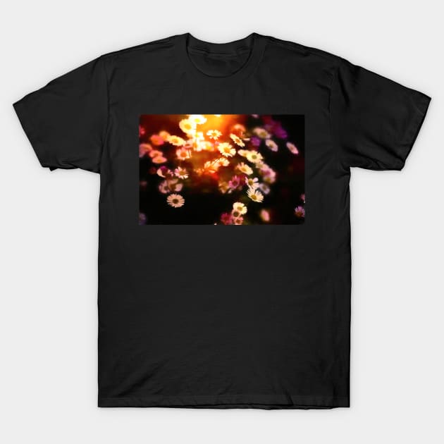 Colors 206 T-Shirt by secretgardener